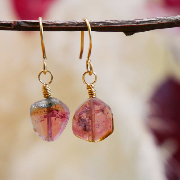 Watermelon Tourmaline Drop Earrings Gold