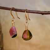 Watermelon Tourmaline Drop Earrings