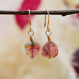 Watermelon Tourmaline Drop Earrings Gold